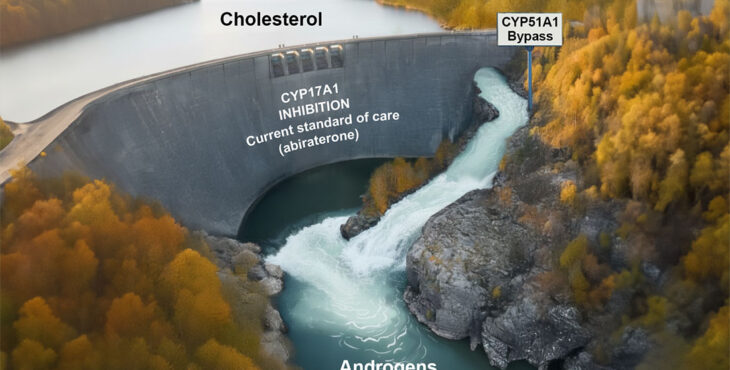 prostate cancer-illustration