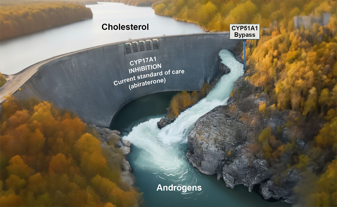 prostate cancer-illustration